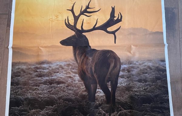 Call of the Wild – Sunset (Elk)